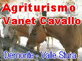 Agriturismo Vanet Cavallo - Demonte