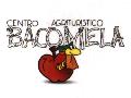 Agriturismo BACOMELA Luserna S.G.