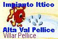 Bar impianto ittico alta val pellice - Villar Pellice